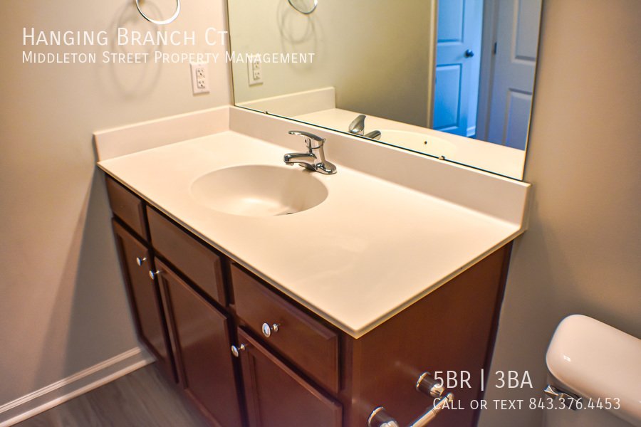 Hanging Branch Ct property image