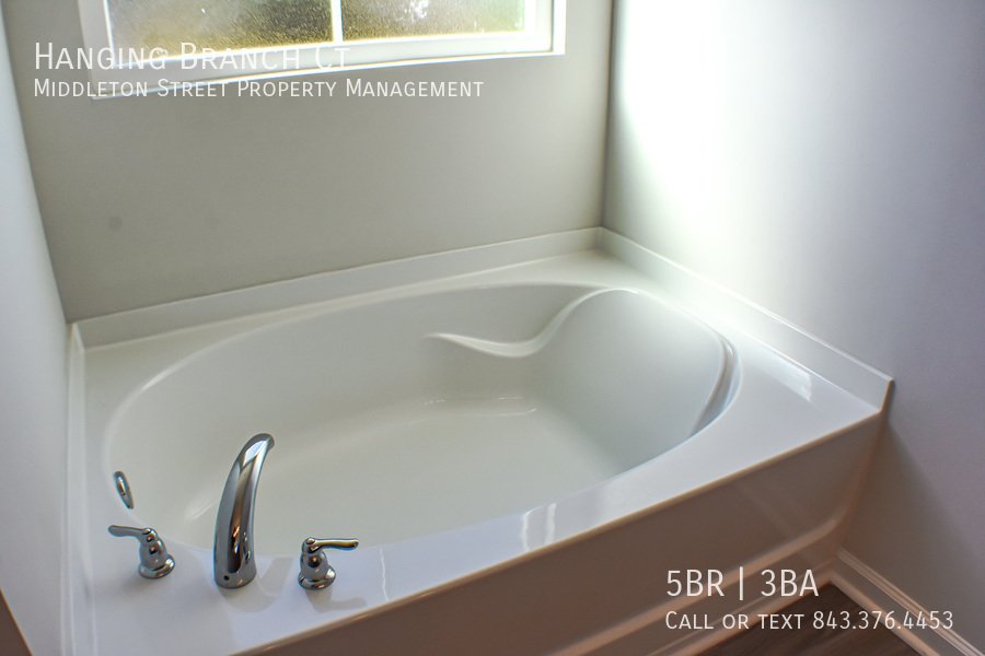 Hanging Branch Ct property image