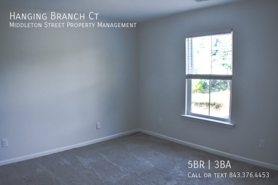 Hanging Branch Ct property image