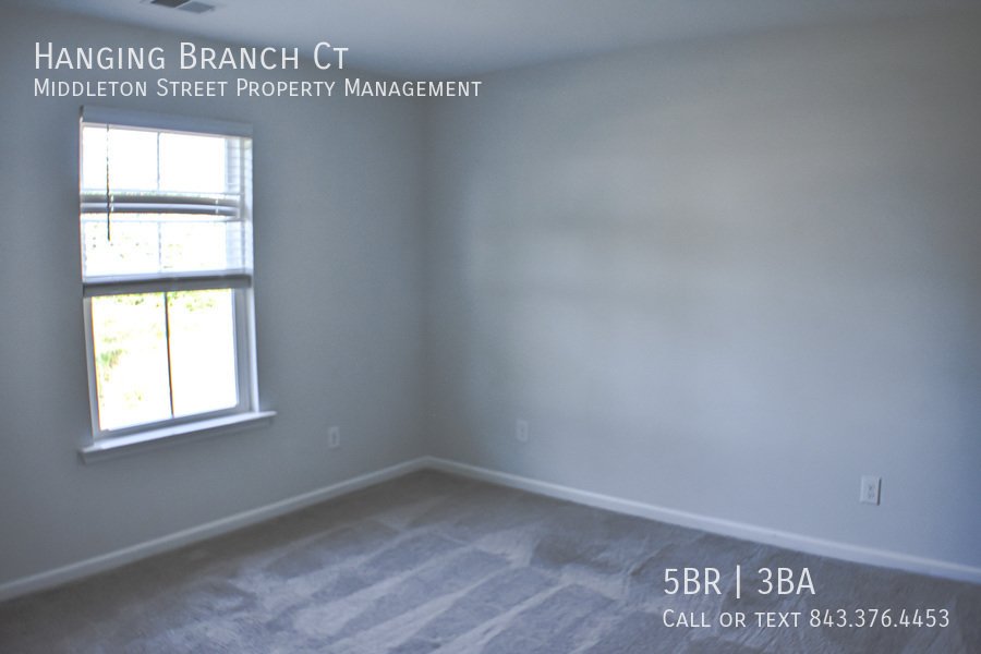 Hanging Branch Ct property image