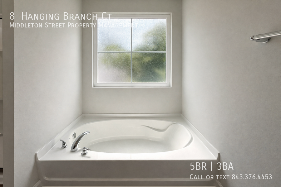 8 Hanging Branch Ct property image