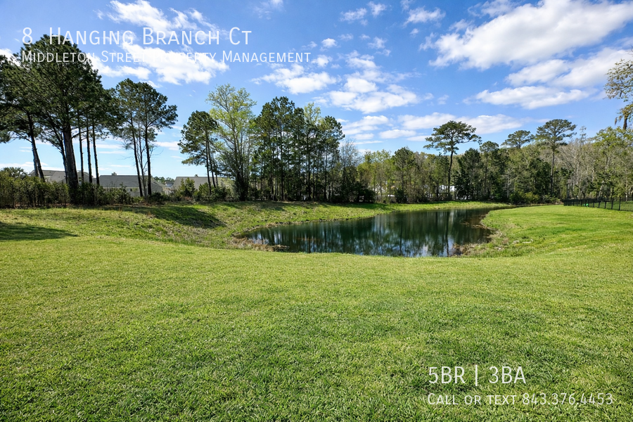8 Hanging Branch Ct property image