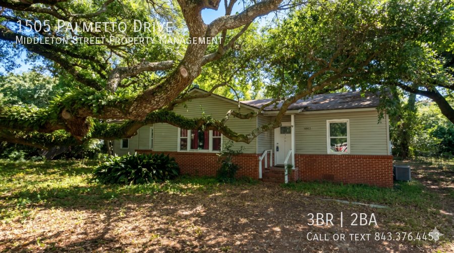 1505 Palmetto Drive property image