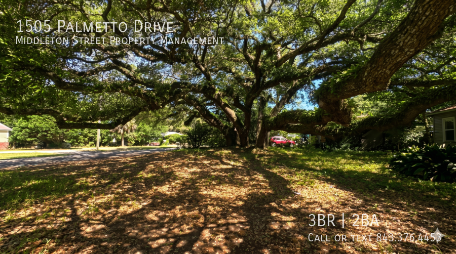 1505 Palmetto Drive property image